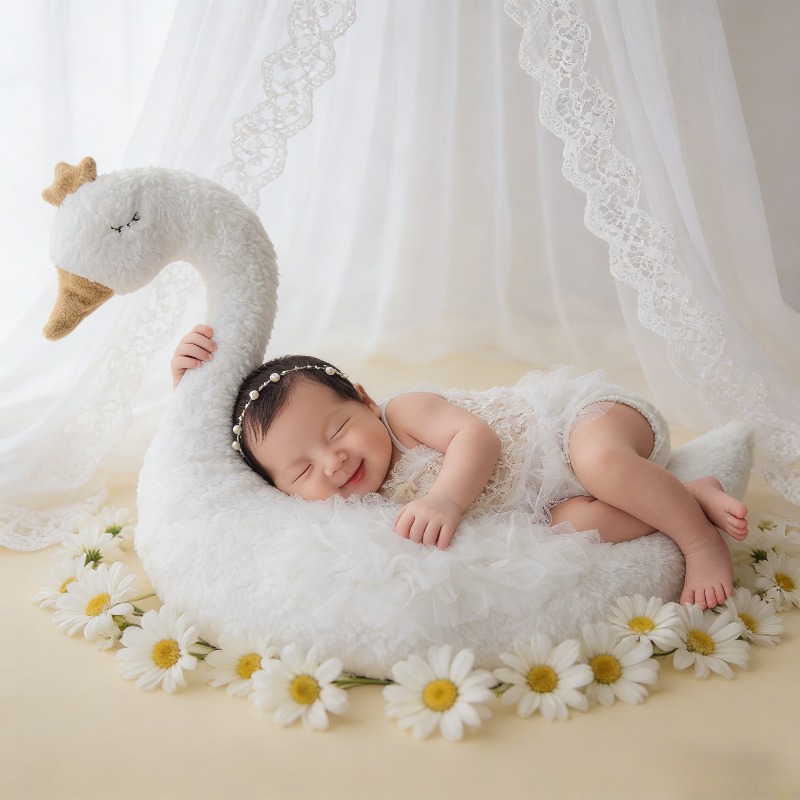 Newborn Photography Prop Swan  - đánh giá và giá Photography Outfits