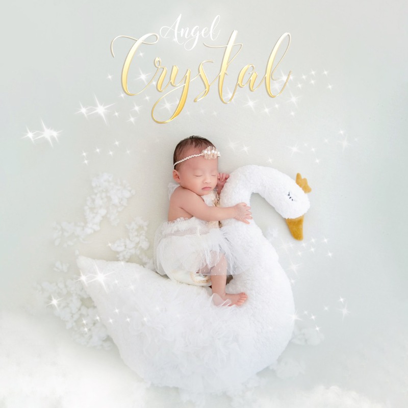 Newborn Photography Prop Swan  - đánh giá và giá Photography Outfits