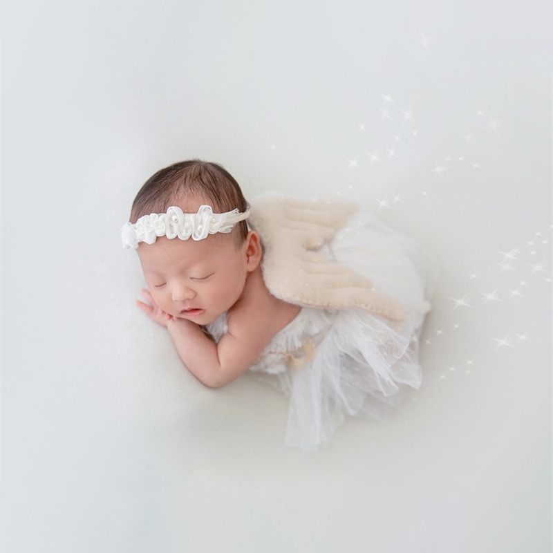 Newborn Photography Prop Swan  - đánh giá và giá Photography Outfits