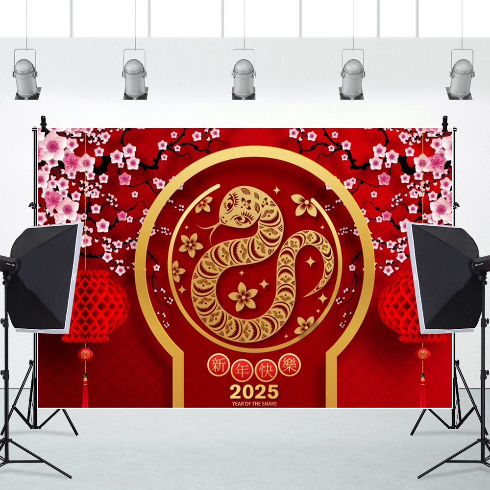 2025 Happy New Year Photograph - đánh giá và giá Photography Of The Year 2025