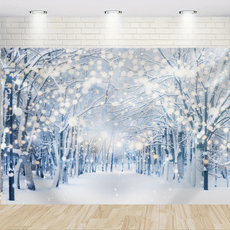 Merry Christmas Winter Snowy F - đánh giá và giá Photography Of The Year 2025